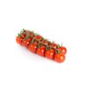 MIRANTE RZ F1 product photo front S