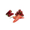DORISA RZ F1  product photo view-3 S