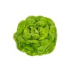 WALHA RZ product photo front S