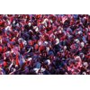 BLOOMQUIST RZ product photo view-3 S