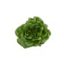 BERNOULLI RZ product photo front S