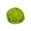 LIMEIRA RZ product photo front S