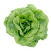 SINTIA RZ (42-160) product photo front S