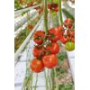 CURZIO RZ F1 product photo front S