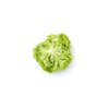 LIMEIRA RZ product photo view-3 S