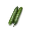 MEDORA RZ F1 product photo front S