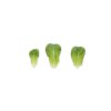 BERNOULLI RZ product photo view-2 S