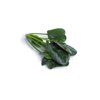 SKIPJACK RZ F1 (51-OR200) product photo front S