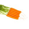 JERADA RZ F1  product photo front S