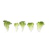 EXWINK RZ product photo view-3 S