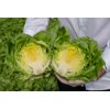 MYLES RZ (42-BU4880) product photo view-2 S