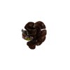 CARDAINE RZ  product photo view-2 S