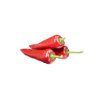 DORISA RZ F1  product photo front S