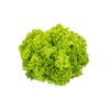 VINTIGO RZ (79-IN1305) Knox™ product photo front S