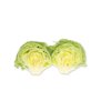 LENTENAS RZ (45-IC1488) Knox™ product photo view-3 S