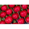 BODIAM RZ F1 product photo view-4 S
