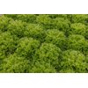 Ексмосс Knox™ Фото товара view-5 S