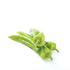 瑞箭(37-109)Ruijan product photo front S