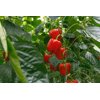 35-BR2068 RZ F1 product photo view-4 S