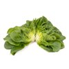 GIBBARD RZ product photo view-2 S