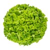 CONCRETION RZ product photo front S