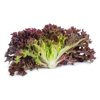 CARNELIAN RZ product photo view-2 S