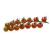 TASTERY RZ F1 (72-136) product photo view-4 S