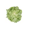 TOMBELO RZ product photo view-3 S