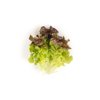 BALAKAI RZ (83-OA5181) product photo view-4 S