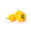 ALLROUNDER RZ F1 product photo front S