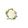 ARIENZO RZ F1  product photo view-2 S