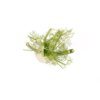 GRECALE RZ F1 product photo view-3 S