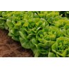 MYLES RZ (42-BU4880) product photo front S