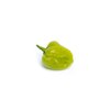 MAWENZILI RZ F1  product photo view-3 S
