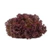 SAMANTINE RZ product photo front S