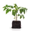 KRILIN RZ product photo front S