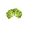 EXOGRAPHIE RZ product photo view-4 S