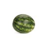 MALOK RZ F1 product photo view-3 S