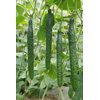玛香蒂(24-921)Marshyangdi product photo view-4 S