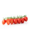 CALDINO F1 (72-161) product photo view-2 S