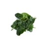 SHEARWATER RZ F1 product photo view-3 S