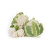 WHITAKER RZ F1 product photo view-3 S
