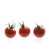 SASSARI RZ F1 product photo view-2 S