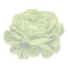 LUISELLA RZ (42-BU4386) Knox™ product photo front S