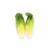 CENTRIUS RZ  product photo view-2 S