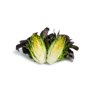 CORAINE RZ Knox™ product photo view-3 S
