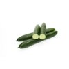 CLIMONT F1 (24-248) product photo view-3 S