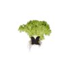 86-LE2027 RZ  product photo view-3 S