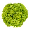 TERAMO RZ product photo front S