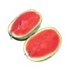 MIRAMPELLO RZ F1  product photo front S